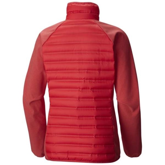 flash forward hybrid